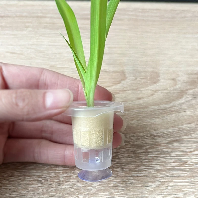 Aquarium Plant Holder - 50pcs/10pcs Aquarium Planting Basket Aquatic Plant