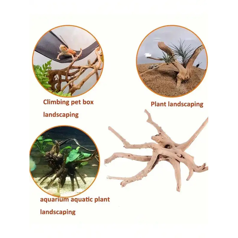 Natural Driftwood for Aquarium - Aquarium Plant Design ulasan dan harga