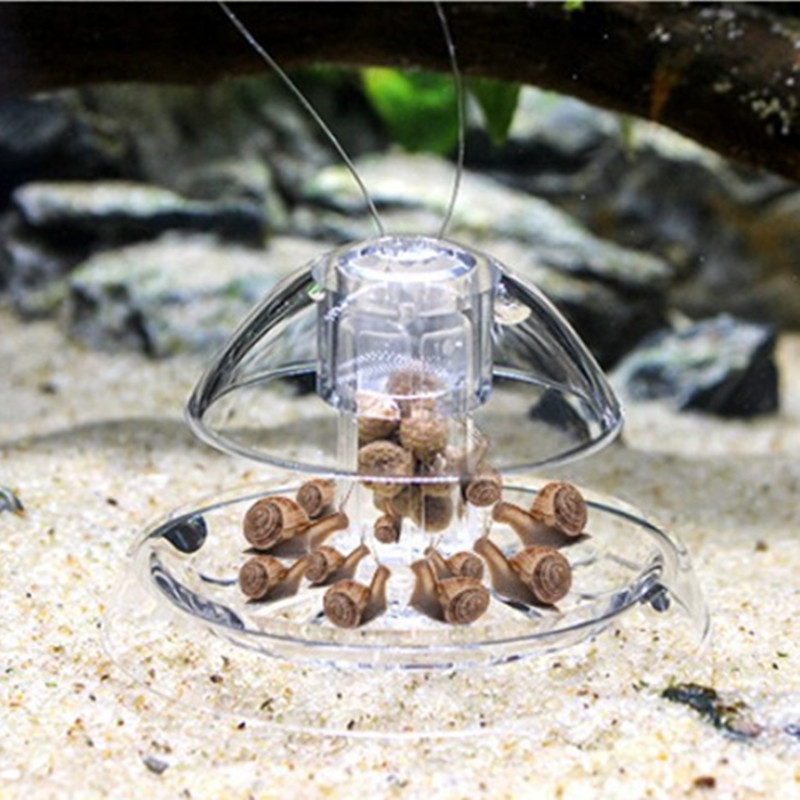 1PCS Fish Tank Aquarium Cleane - Planted Aquarium Tools ulasan dan harga