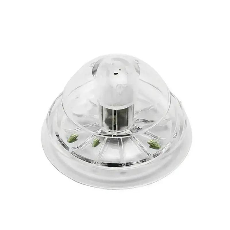 2026 New 6/8CM Clear Plastic S - Aquarium Plant Original ulasan dan harga