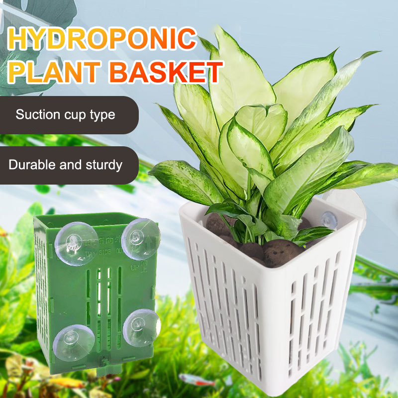 Hanging Suction Cup Hook Aquar - Aquarium Plant Holder ulasan dan harga