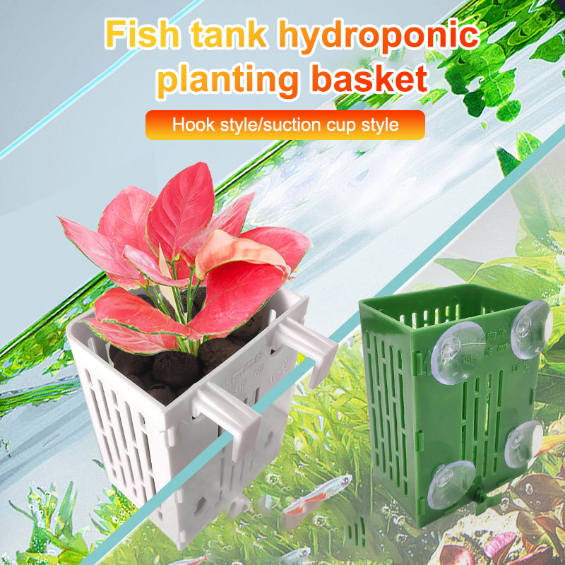 Hanging Suction Cup Hook Aquar - Aquarium Plant Holder ulasan dan harga