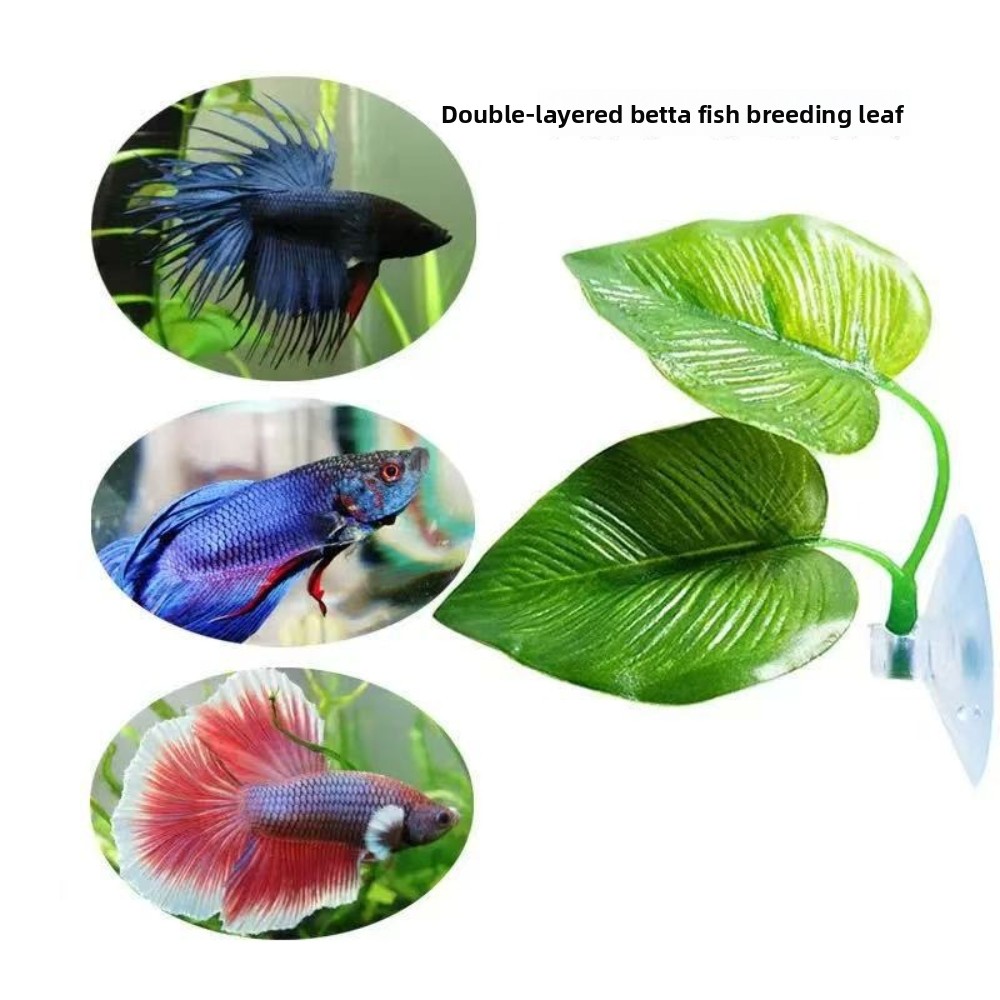 1/3/5/10 Betta Aquarium Artifi - Aquarium Planted Tank Setup ulasan dan harga