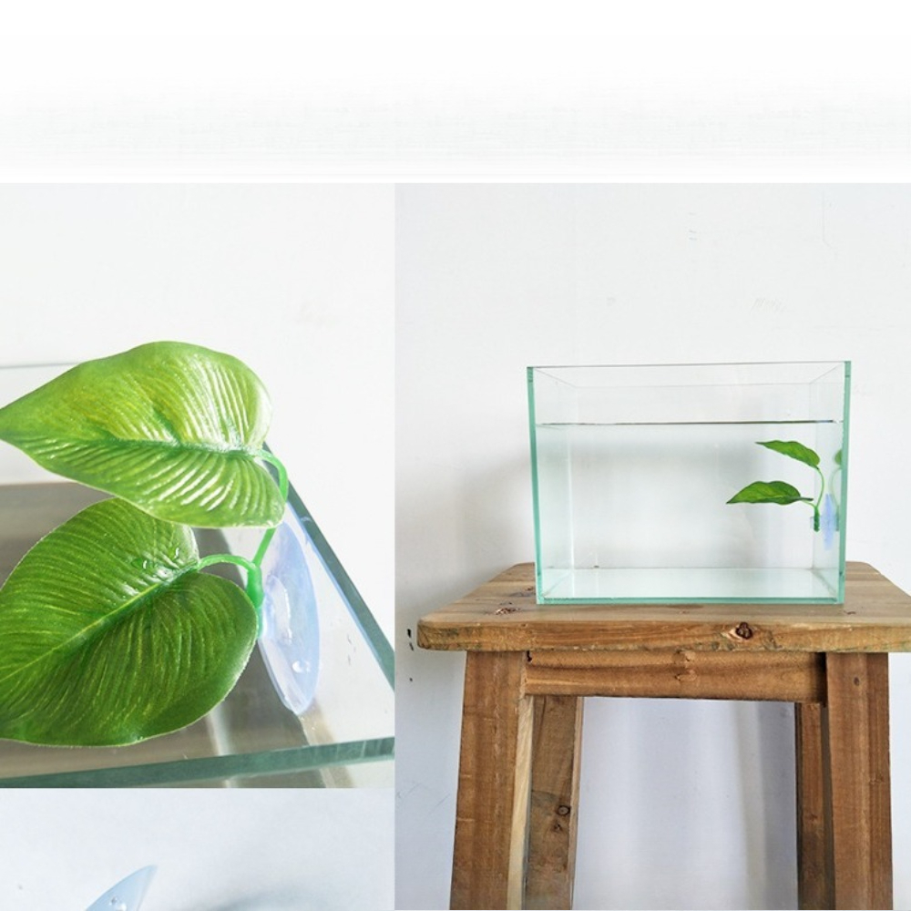 1/3/5/10 Betta Aquarium Artifi - Aquarium Planted Tank Setup ulasan dan harga