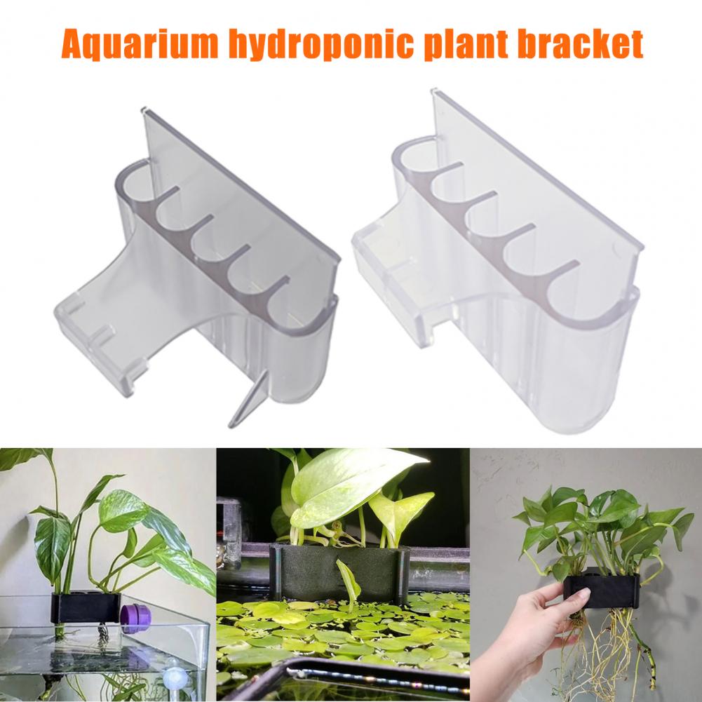4.5/6.5cm Aquarium Plant Holde - Aquarium Plant Holder ulasan dan harga