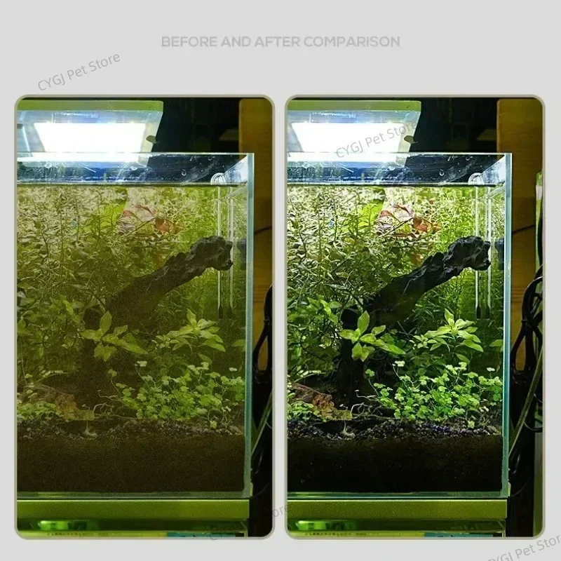 Fish Tank Cleaning Tool Flat S - Planted Aquarium Tools ulasan dan harga