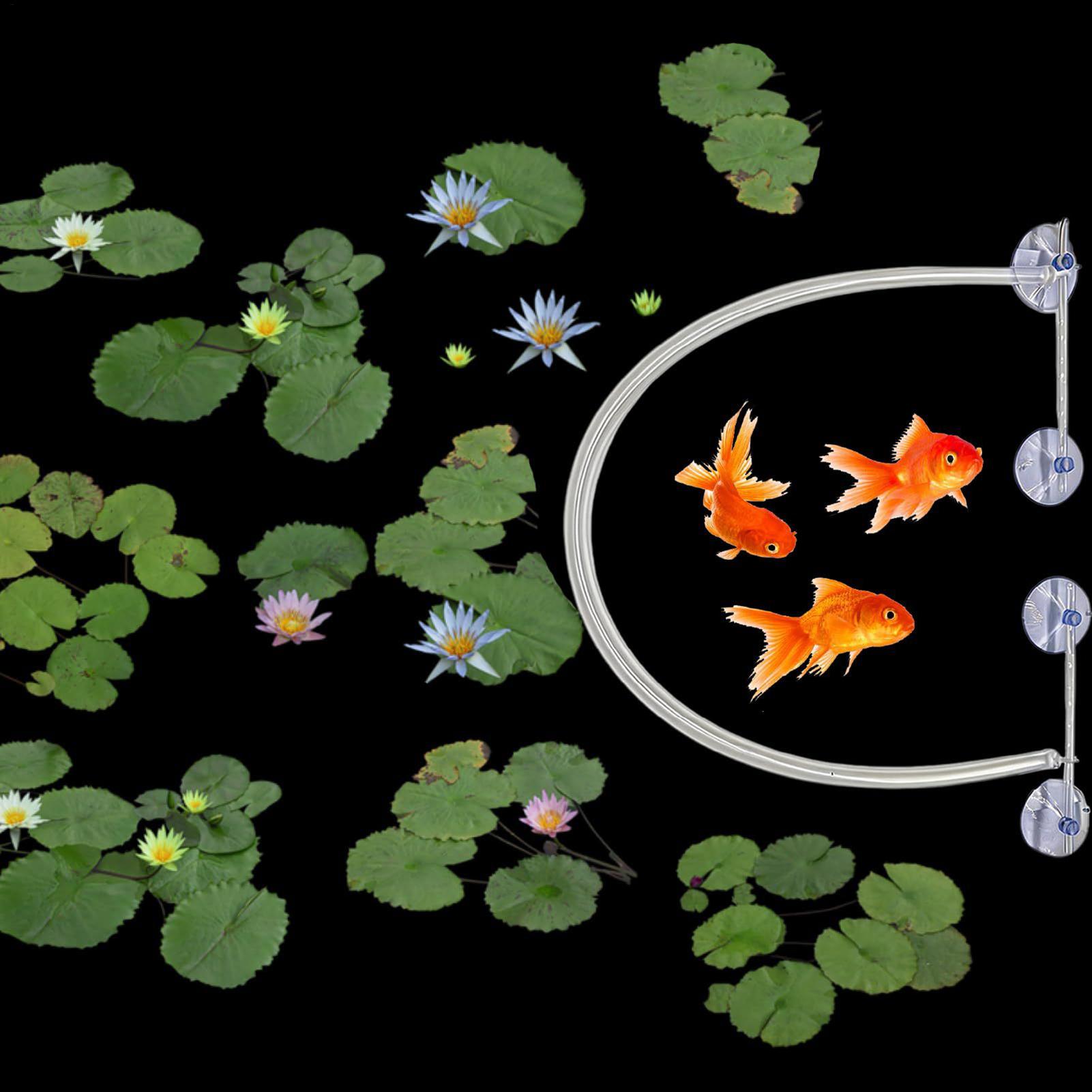 Floating Plant Corral Auto Hei - Planted Aquarium Tank Kit ulasan dan harga