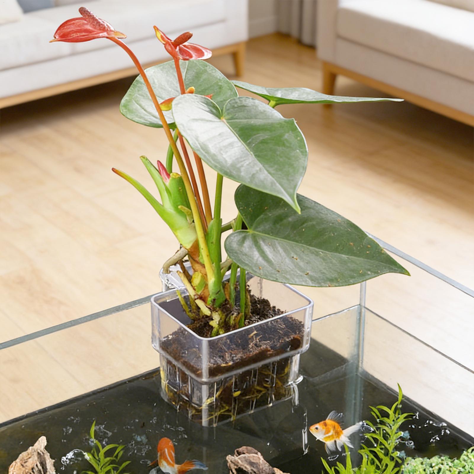 Fish Tank Fixed Basket Wall mo - Aquarium Plant Holder ulasan dan harga
