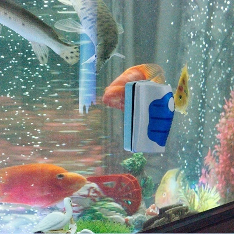 Fish Tank Glass Scraper Cleane - Planted Aquarium Tools ulasan dan harga
