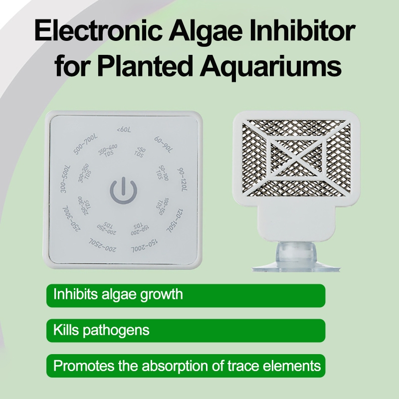 Electronic Aquarium Fish Tank  - Planted Aquarium Tools ulasan dan harga