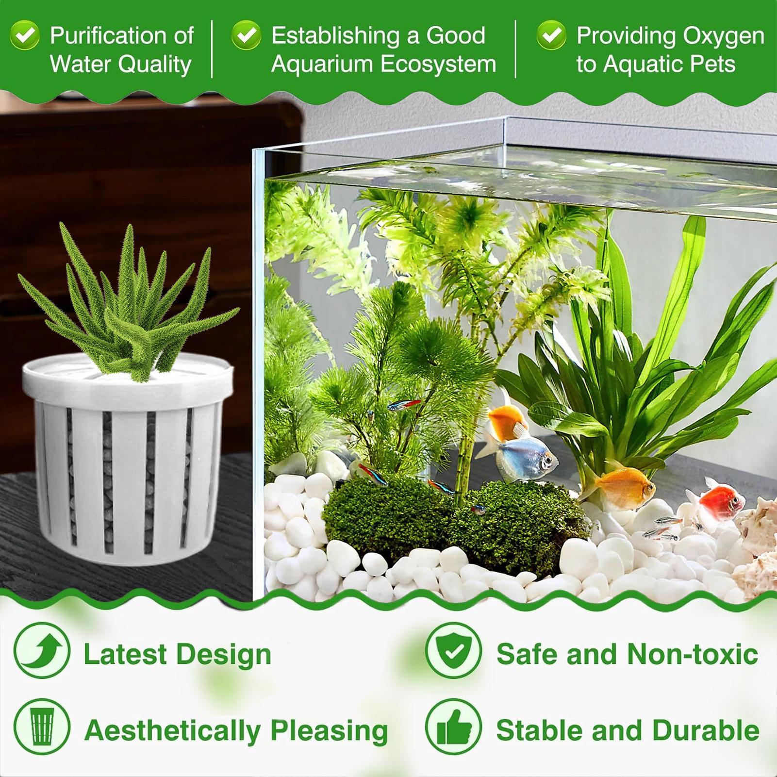 4 Pieces Aquarium Planter Pot  - Aquarium Plant Holder ulasan dan harga