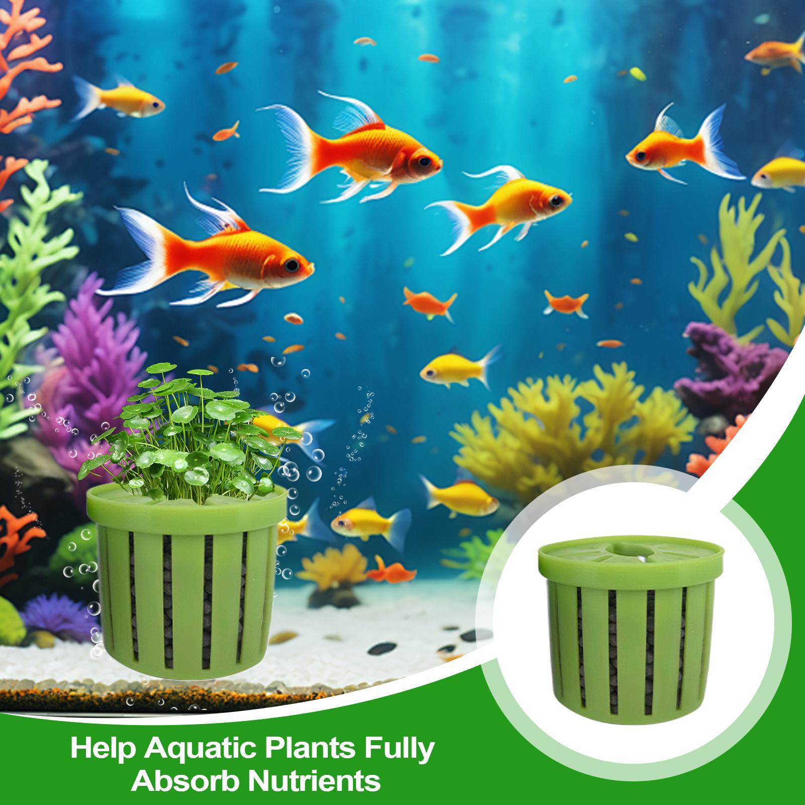 4 Pieces Aquarium Planter Pot  - Aquarium Plant Holder ulasan dan harga