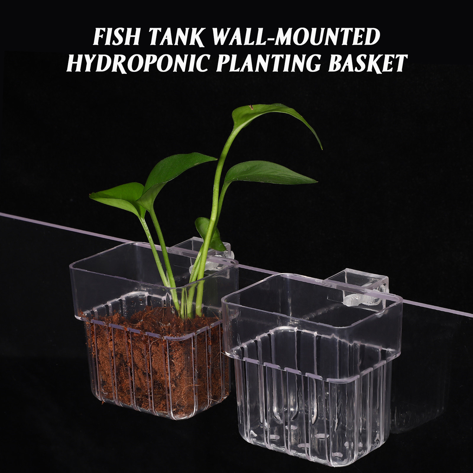 4Pcs Aquarium Plant Holders Cl - Aquarium Planted Tank Setup ulasan dan harga