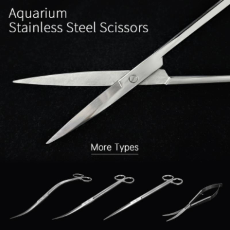 Week Aqua Stainless Steel Aqua - Planted Aquarium Tools ulasan dan harga