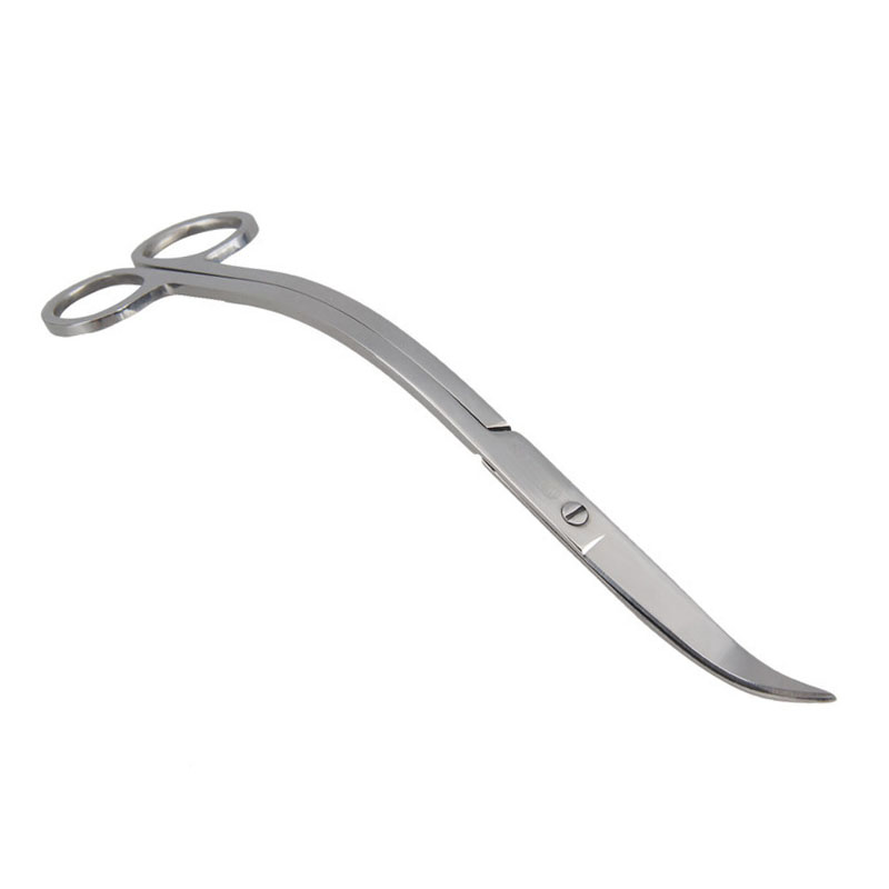 Aquarium Scissor Tools Fish Ta - Aquarium Plant Holder ulasan dan harga