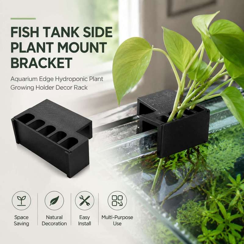 Fish Tank Side Plant Mount Bra - Aquarium Plant Holder ulasan dan harga