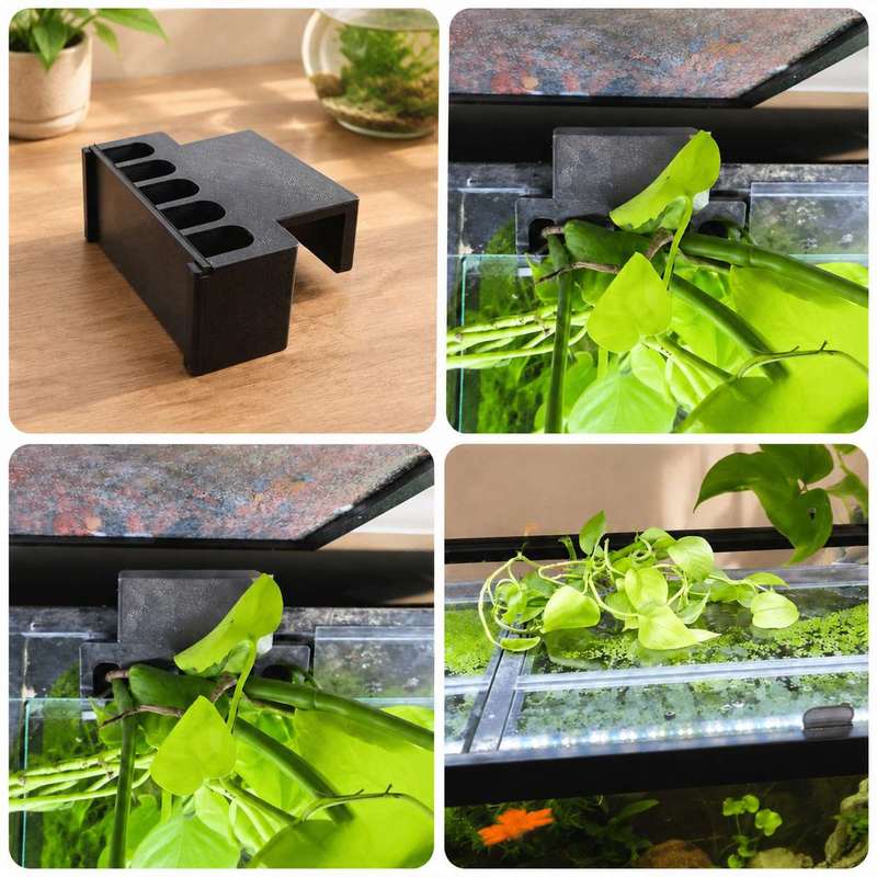 Fish Tank Side Plant Mount Bra - Aquarium Plant Holder ulasan dan harga