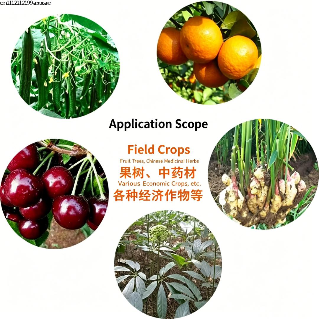 High Activity Bacillus Subtili - Planted Aquarium Fertilizer ulasan dan harga