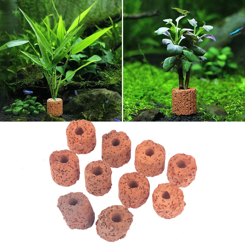 10Pcs Mini Aquatic Plant Ring  - Aquarium Planted Tank Setup ulasan dan harga