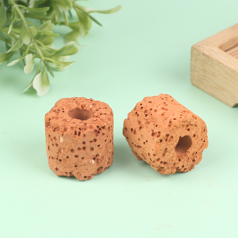 10Pcs Mini Aquatic Plant Ring  - Aquarium Planted Tank Setup ulasan dan harga