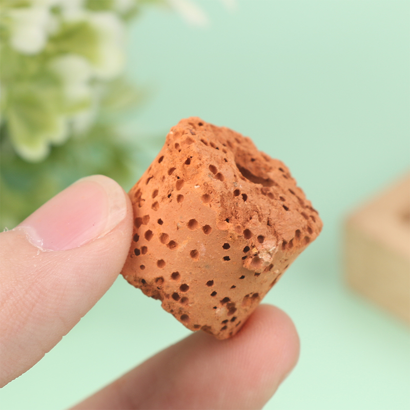 10Pcs Mini Aquatic Plant Ring  - Aquarium Planted Tank Setup ulasan dan harga