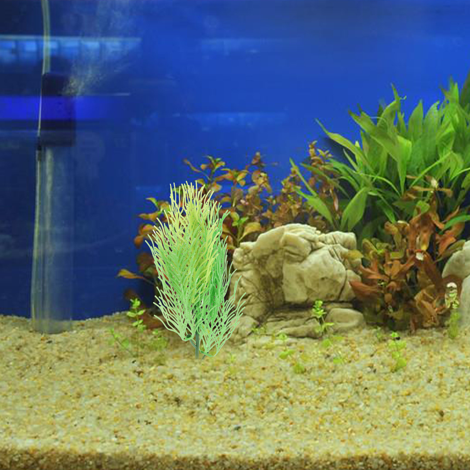 Simulated Hornwort Aquarium Pl - Aquarium Planted Tank Setup ulasan dan harga
