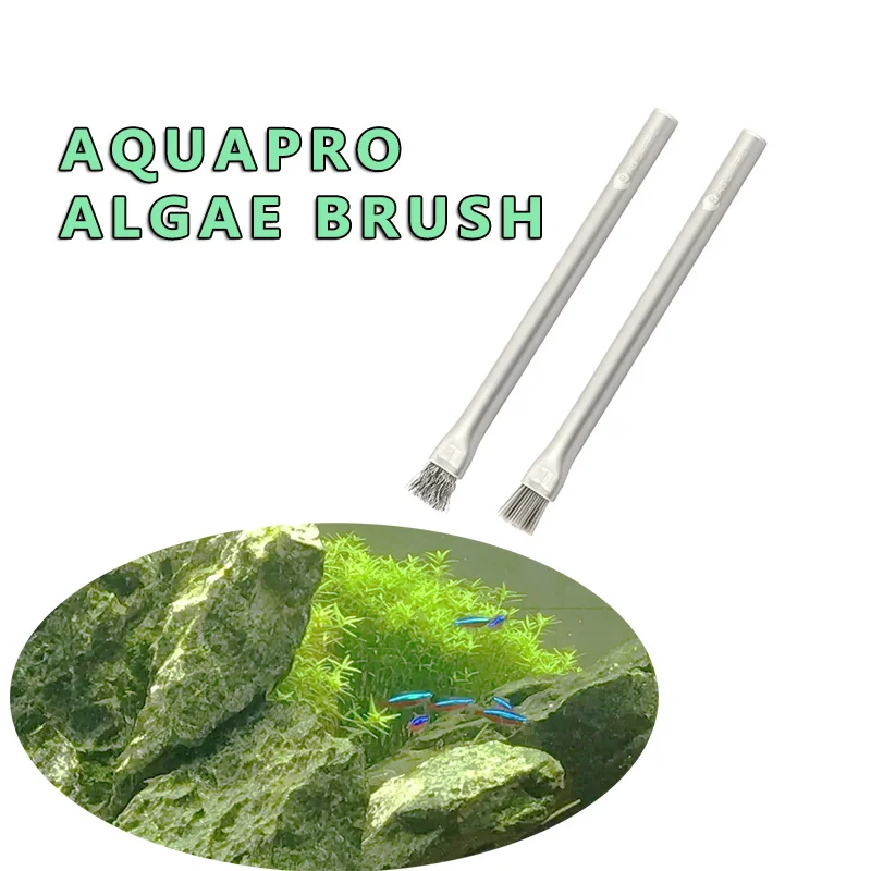 Aquapro Algae Brush Cleaning B - Planted Aquarium Tools ulasan dan harga