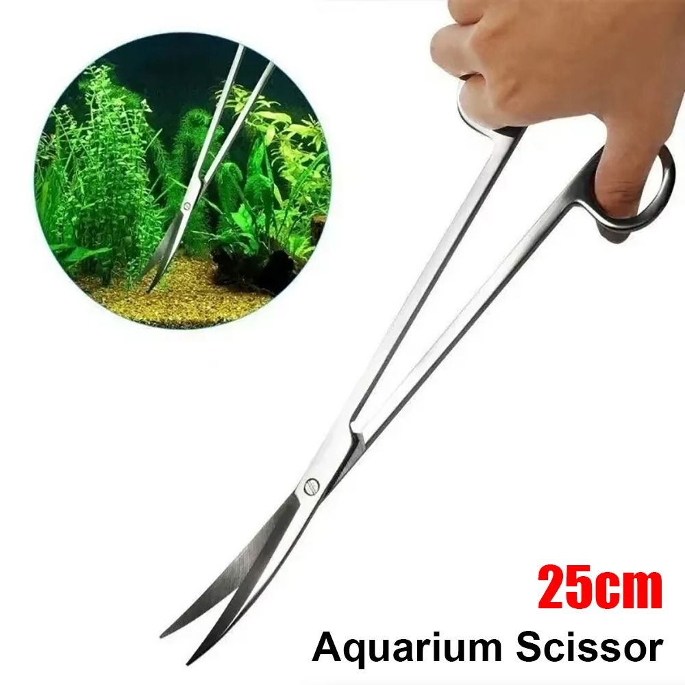 1Pcs Stainless Steel Aquarium  - Aquarium Plant Grass ulasan dan harga
