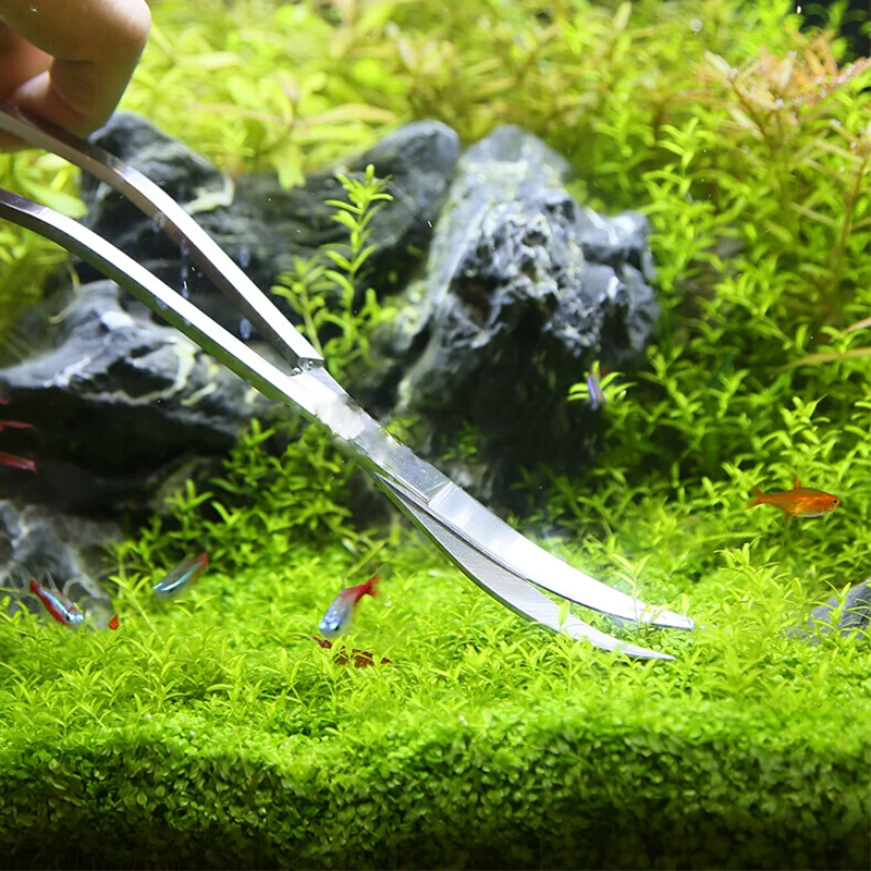 Aquarium Scissor Tools Fish Ta - Aquarium Plant Holder ulasan dan harga