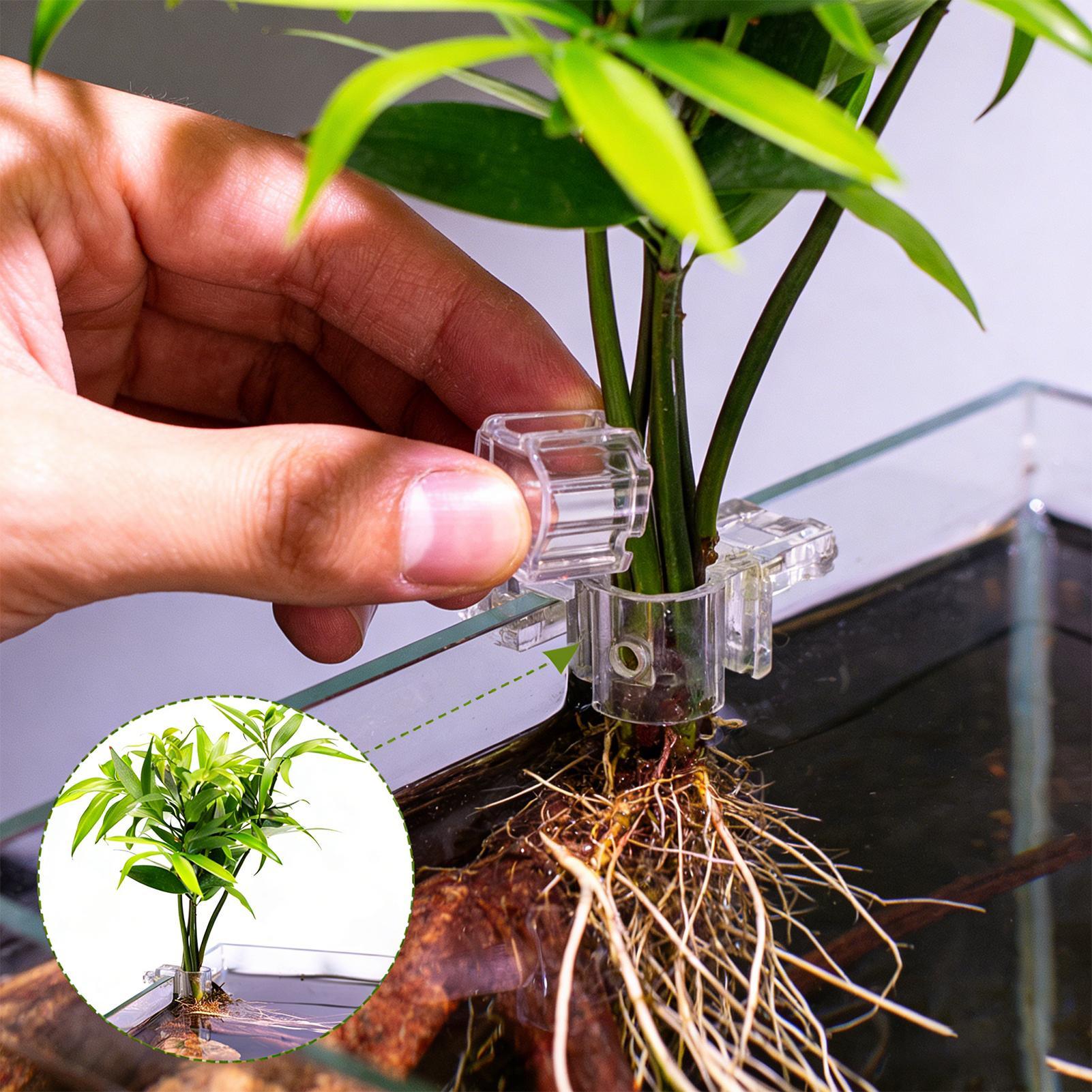 6pcs Aquarium Plant Holders Cl - Aquarium Plant Holder ulasan dan harga