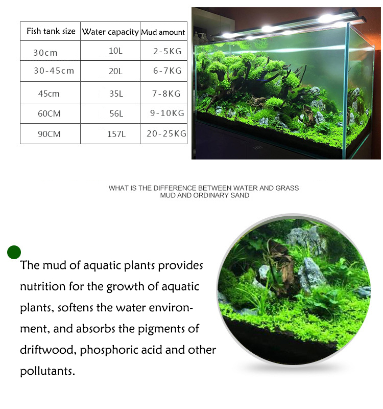 Aquarium Plant Seeds Soil Fish - Aquarium Planted Fish ulasan dan harga