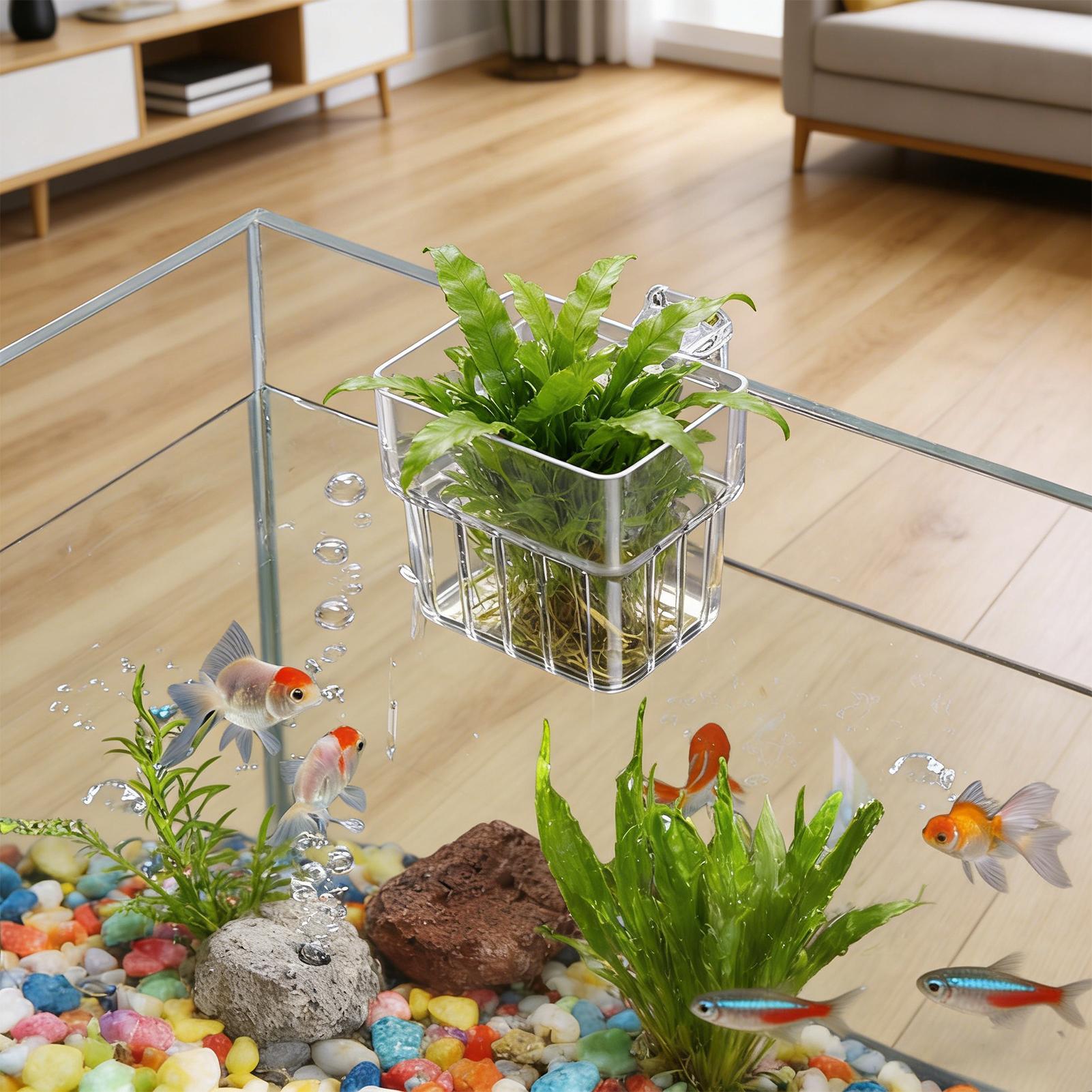 Aquarium Transparent Hanger Po - Aquarium Plant Holder ulasan dan harga