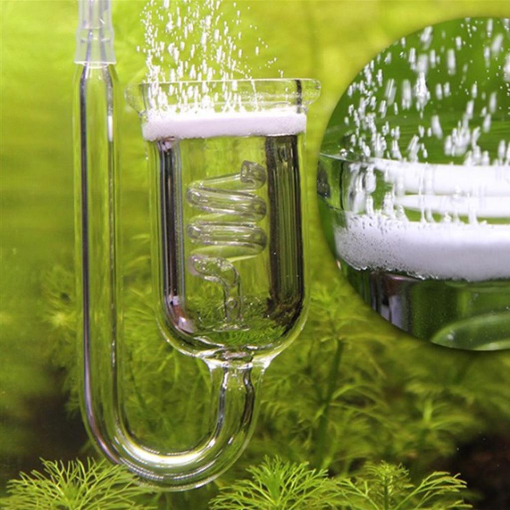 Durable Glass CO2 Diffuser Aqu - Aquarium Planted Tank Setup ulasan dan harga