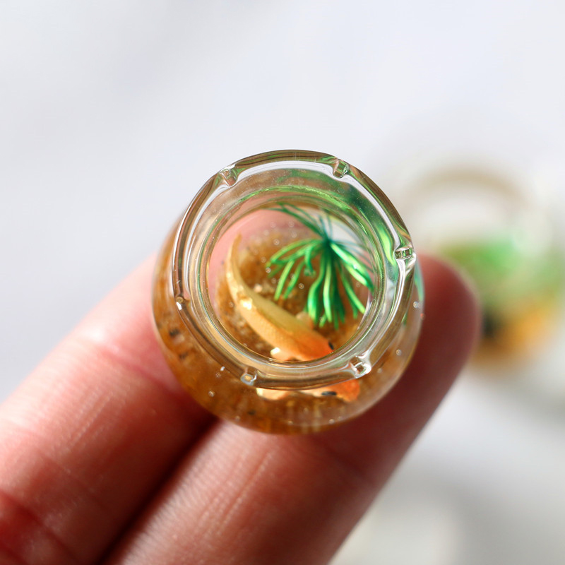 1Pc 1:12 Mini DollHouse Simula - Planted Aquarium Photos ulasan dan harga