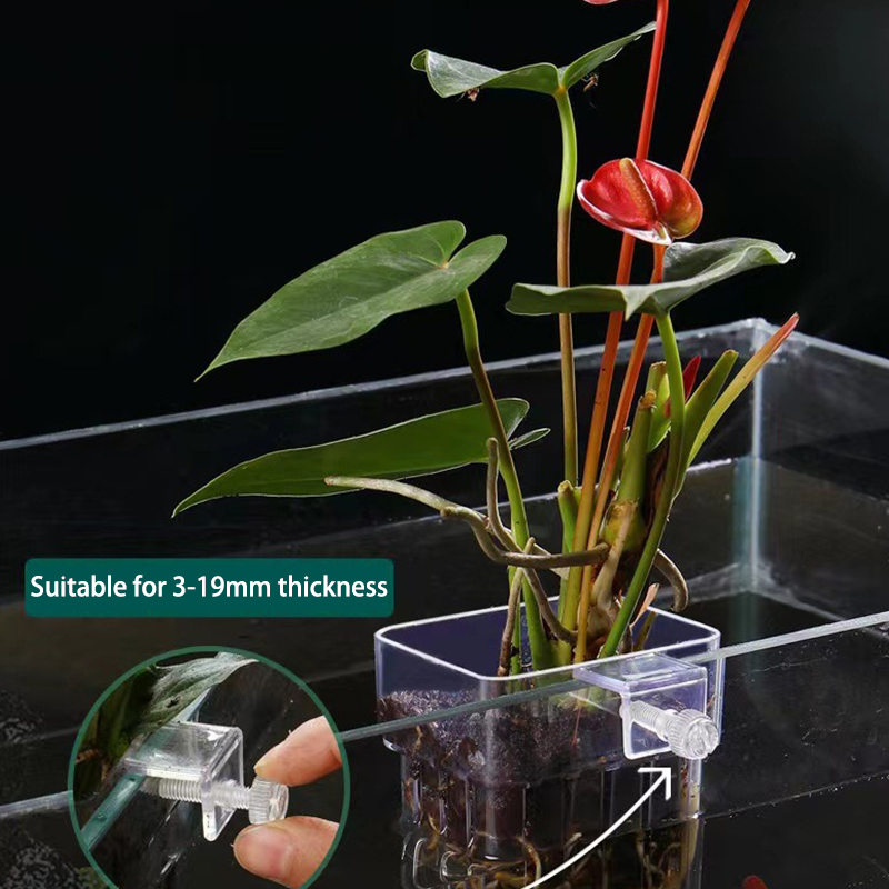 Multifunctional Fish Aquarium  - Aquarium Planted Fish ulasan dan harga