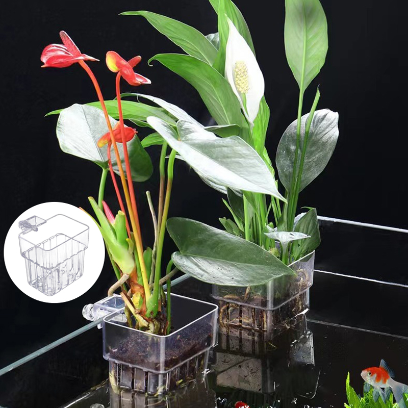 Multifunctional Fish Aquarium  - Aquarium Planted Fish ulasan dan harga
