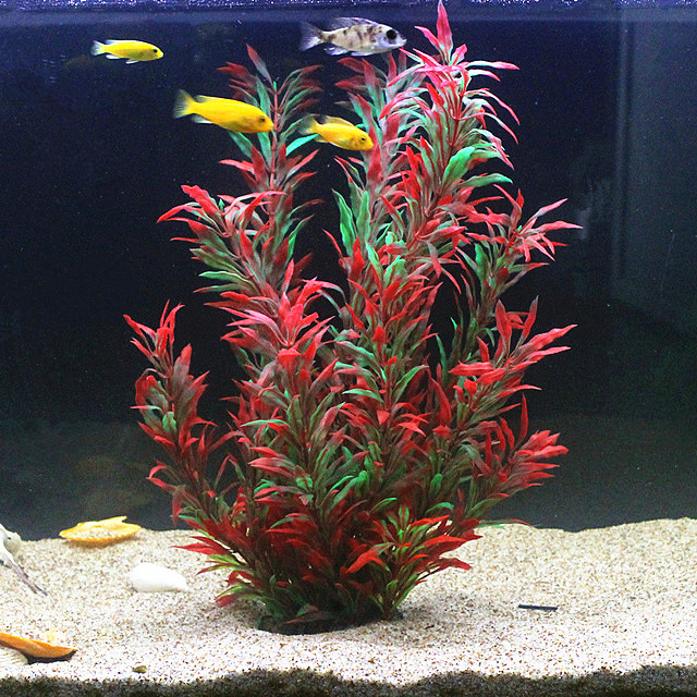 50CM Artificial Fish Tank Rare - Aquarium Planted Fish ulasan dan harga