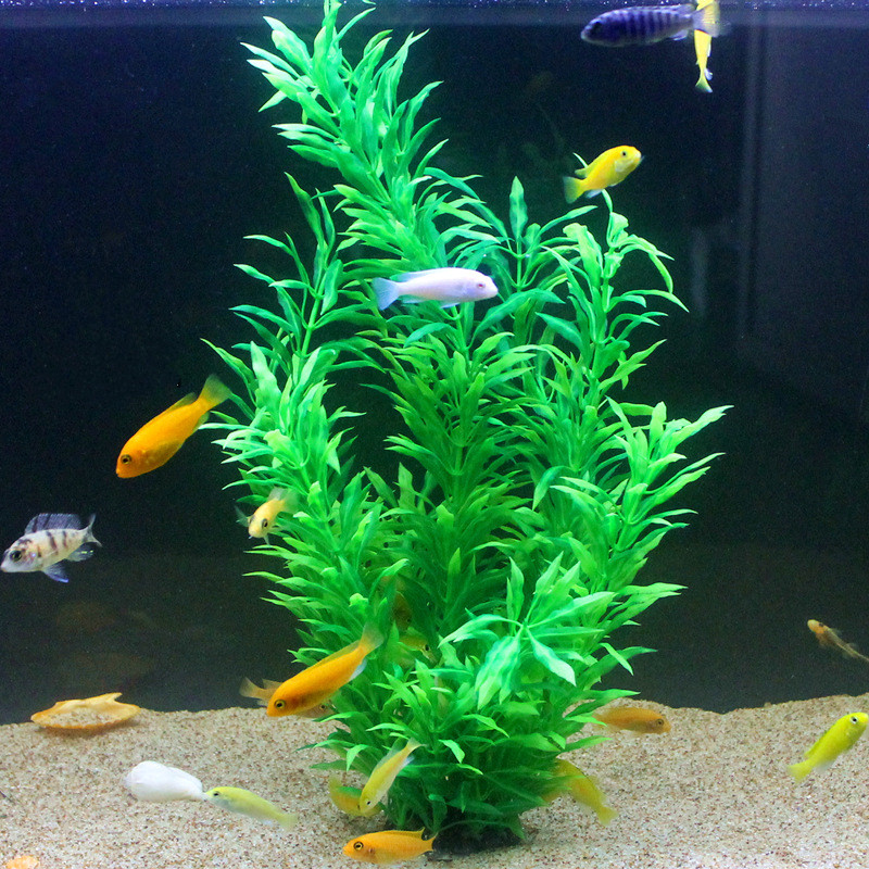 50CM Artificial Fish Tank Rare - Aquarium Planted Fish ulasan dan harga