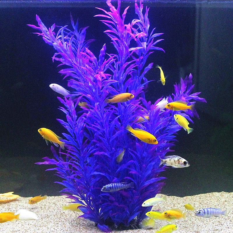 50CM Artificial Fish Tank Rare - Aquarium Planted Fish ulasan dan harga