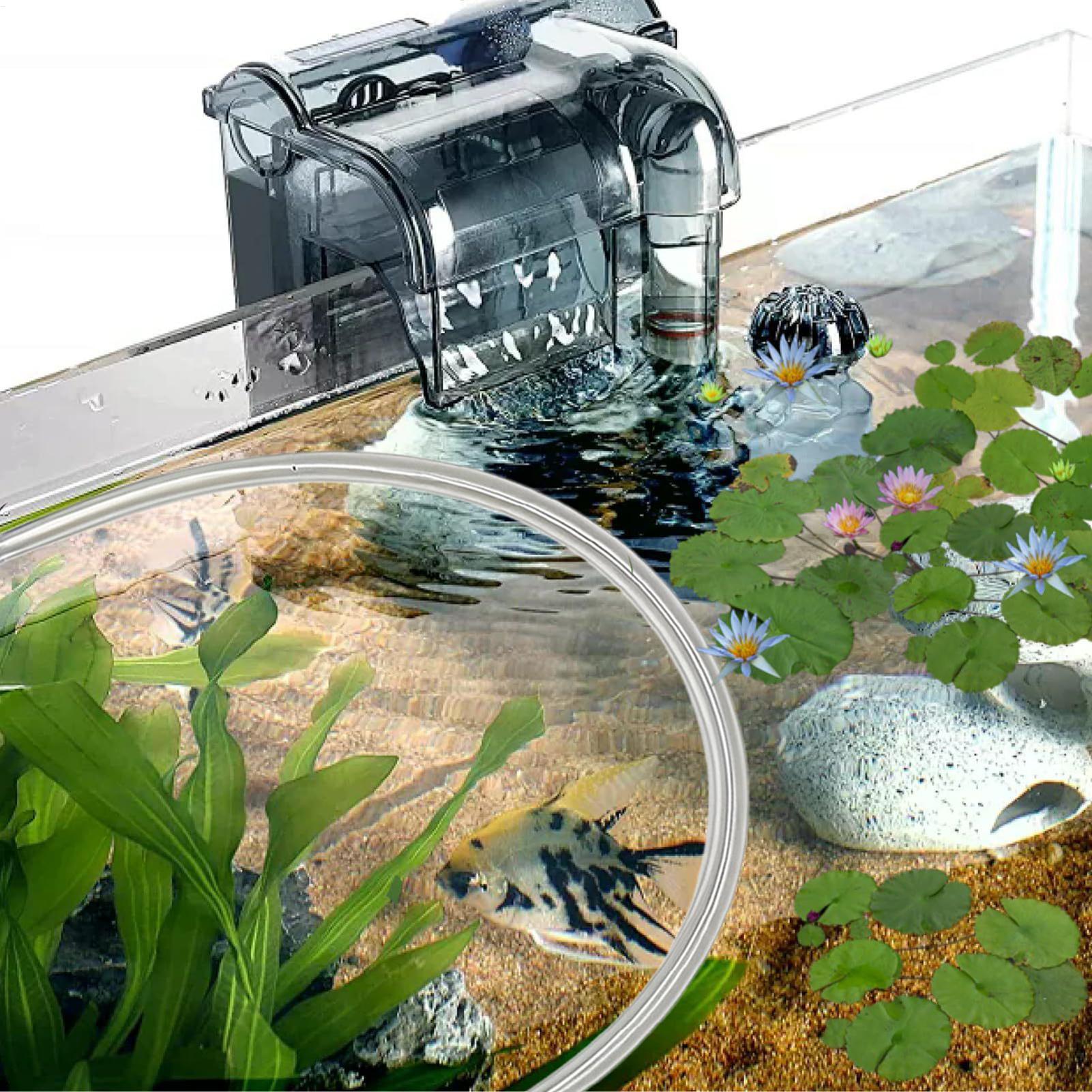Aquarium Floating Plant Barrie - Planted Aquarium Tank Kit ulasan dan harga