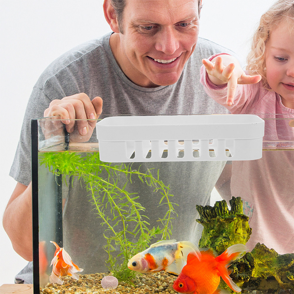 2Pcs Aquarium Plant Holder Han - Aquarium Planted Tank Setup ulasan dan harga