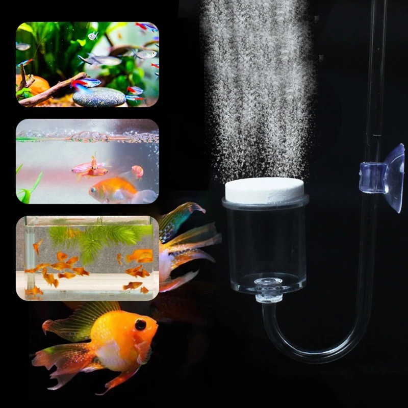 4pcs Set DIY CO2 Diffuser For  - Aquarium Plant Grass ulasan dan harga