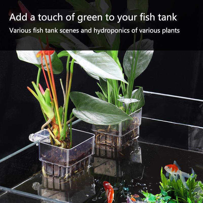 Aquarium Hydroponic Planting C - Aquarium Planted Tank Setup ulasan dan harga