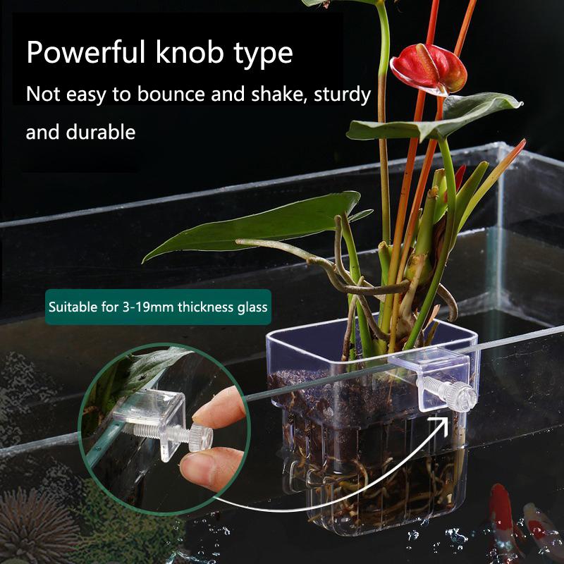 Aquarium Hydroponic Planting C - Aquarium Planted Tank Setup ulasan dan harga