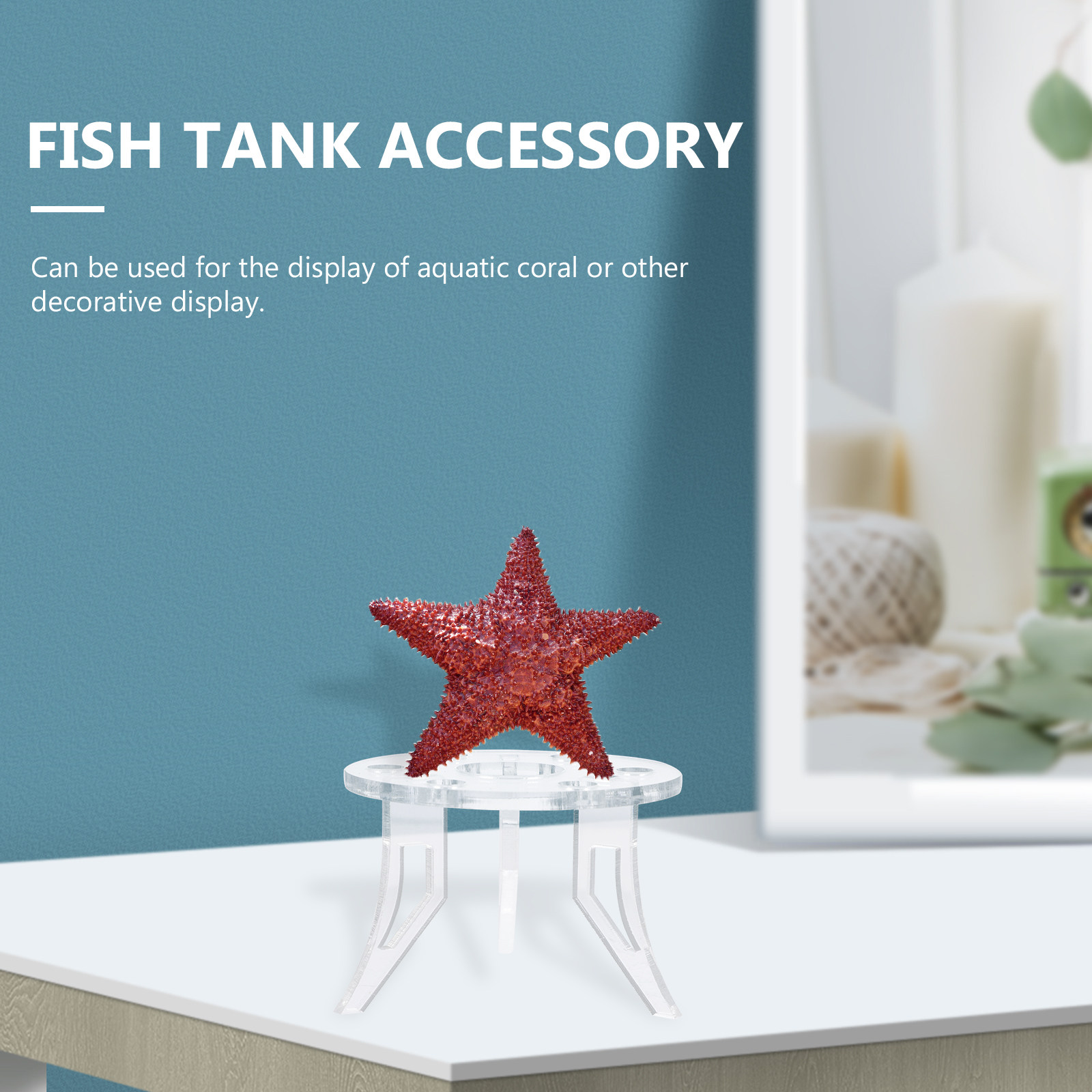 1Pcs Coral Base Stylish Strong - Aquarium Planted Tank Setup ulasan dan harga