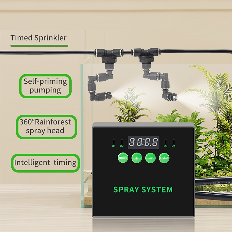 Water Plant Aquarium Rainfores - Planted Aquarium Tank Kit ulasan dan harga