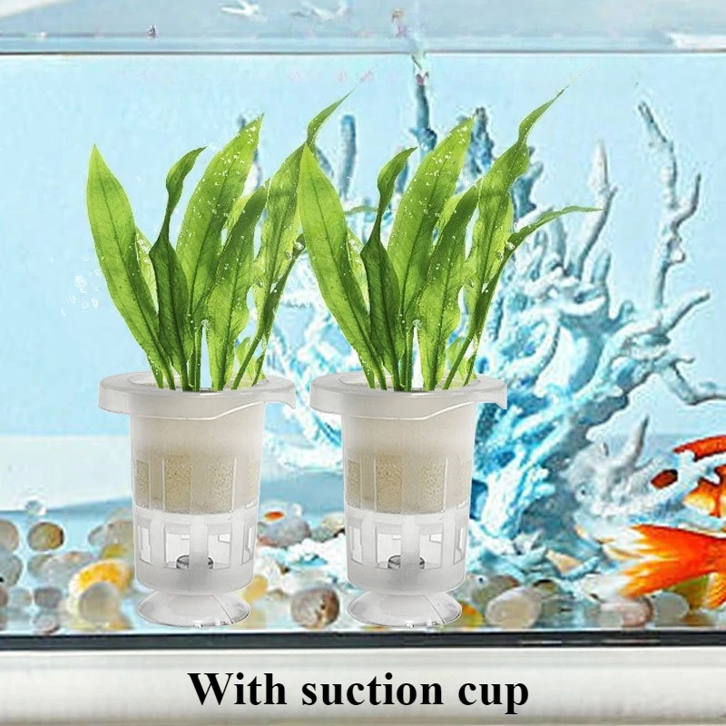 50pcs/10pcs Aquarium Planting  - Aquarium Plant Holder ulasan dan harga